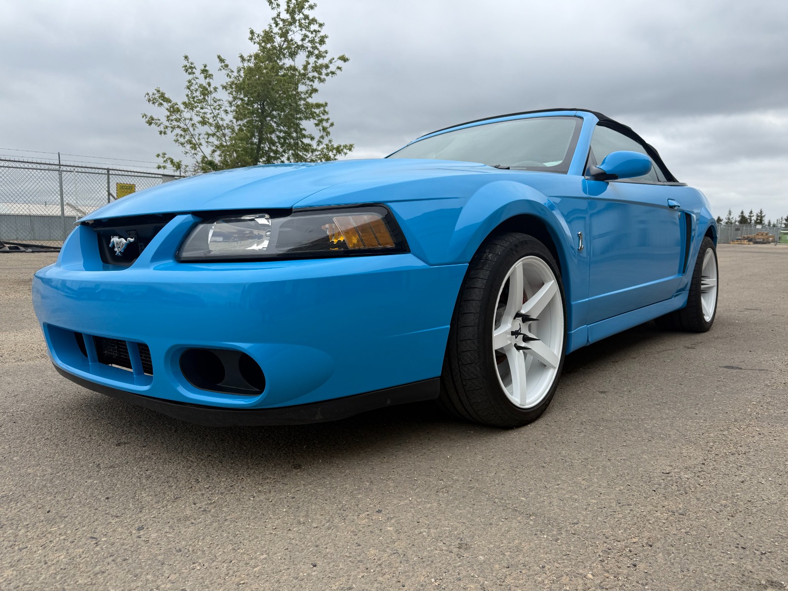 Ceramic Coating in Edmonton: Benefits, Cost, Durability & Why Your Car Needs It in 2026
